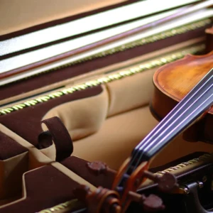 ケースに入ったバイオリン