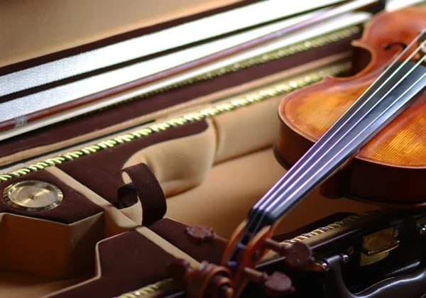 ケースに入ったバイオリン