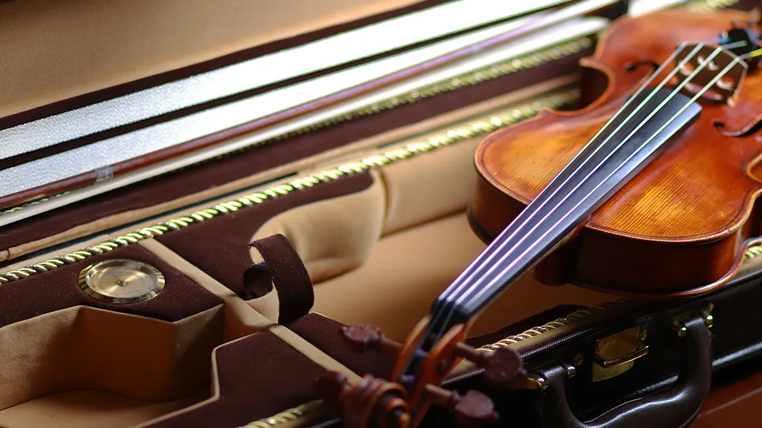 ケースに入ったバイオリン